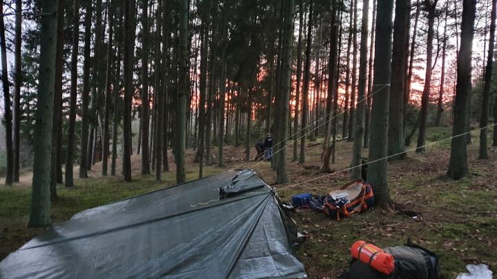 Et billede af en bivuak i en skov med den solopgang i baggrunden